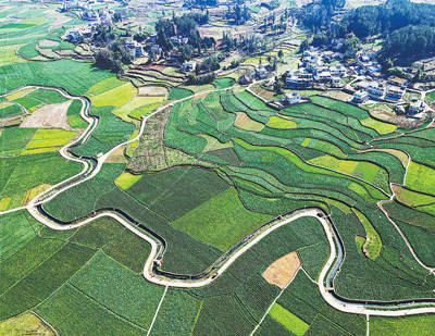 因地制宜改善農(nóng)村人居環(huán)境（金臺(tái)視線）:室內(nèi)環(huán)境改善