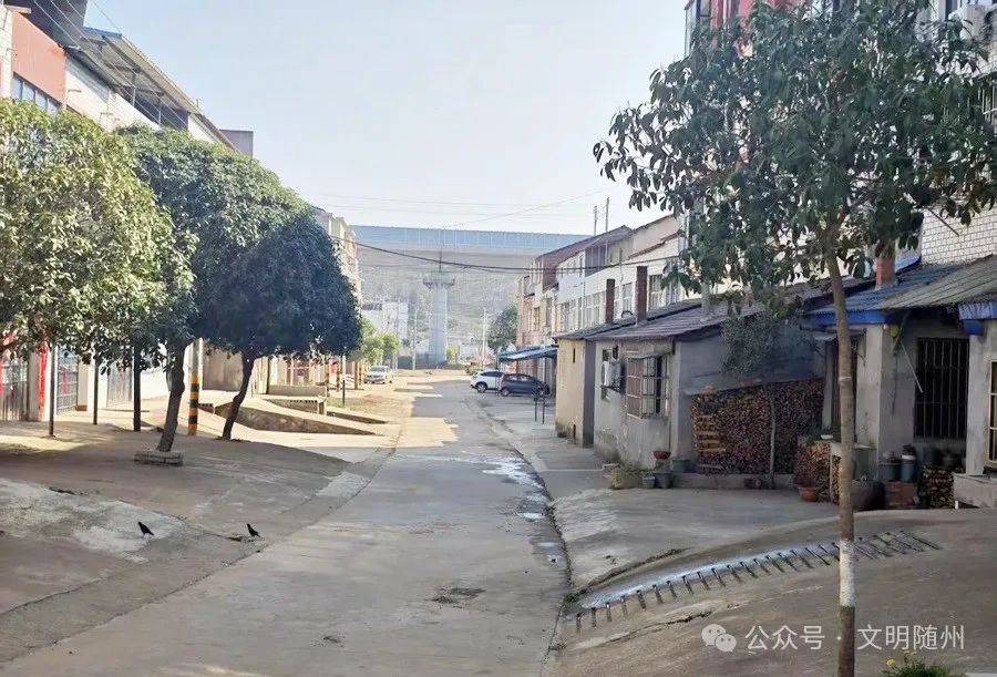 曾都府河四五咀村“四清兩拆”改善居住環境:室內環境改善
